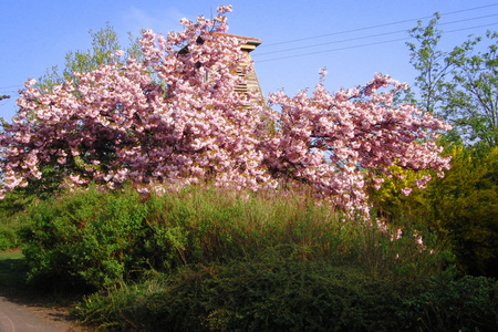 Frühling in Frohnhofen