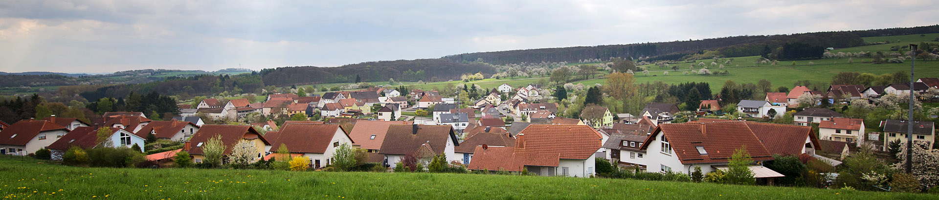 Panorama Ortsgemeinde Frohnhofen